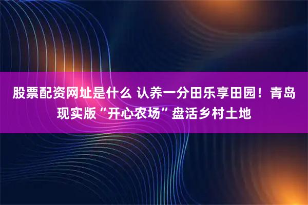 股票配资网址是什么 认养一分田乐享田园！青岛现实版“开心农场”盘活乡村土地